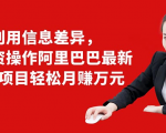利用信息差异，零投资操作阿里巴巴最新管道项目轻松月赚10000+-比钱轻创