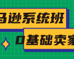 亚马逊系统班，专为0基础卖家量身打造，亚马逊运营流程与架构-比钱轻创