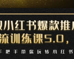 小红书爆款推广引流训练课5.0，手把手带你玩转小红书（17节实操视频+话术）-比钱轻创