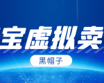黑帽子淘宝虚拟卖货项目，单店每月收入5000+-比钱轻创