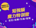 零基础小白进阶到大神《短视频魔力特训营》定位-运营-引流-变现-比钱轻创