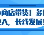 微信小商店带货，爆单多倍收入，长期复利循环！日赚300-800元不等-比钱轻创