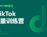 2020最新TikTok流量增长训练营（完结）附PPT-比钱轻创