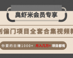 暴利偏门项目全套合集视频教程：你要的日赚1000+月入几万+项目都有-比钱轻创
