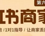 贾真-小红书商家营第6期商家版，21天带货陪跑课，让商家丢掉付流量-比钱轻创