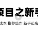 虚拟项目快速起店模式，0成本打造月入几万虚拟店铺！-比钱轻创