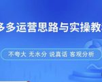 拼多多店铺运营思路与实操教程，快速学会拼多多开店和运营，少踩坑，多盈利-比钱轻创
