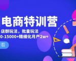 美团电商特训营:美团·店群玩法,无脑铺货月产出6000-15000+精细化月产2w+-比钱轻创