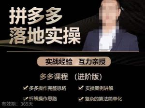 拼多多实战篇·落地实操:多多操作完整思路+实操案例讲解+拆解操作思路+复杂的算法简单化-比钱轻创