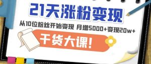 21天精准涨粉变现干货大课：从10位粉丝开始变现月增5000+变现20w+-比钱轻创
