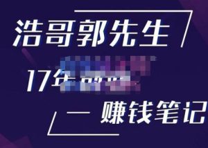 浩哥郭先生17年创业赚米笔记，打开你对很多东西的认知，让你知道原来赚钱或创业不单单是发力就行-比钱轻创