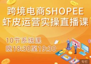 跨境电商Shopee虾皮运营实操直播课，从零开始学，入门到精通（10节系统课）-比钱轻创