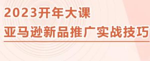 2023亚马逊新品推广实战技巧，线下百万美金课程的精简版，简单粗暴可复制，实操性强的推广手段-比钱轻创