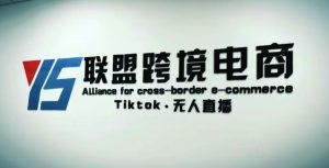 YS联盟·Tiktok无人直播，不出镜不剪辑不拍摄不发货无售后的跨境短视频躺赚玩法-比钱轻创