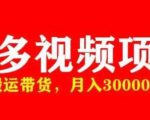 多多带货视频快速50爆款拿带货资格，搬运带货，月入30000【全套脚本+详细玩法】-比钱轻创