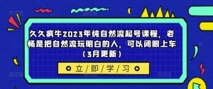久久疯牛2023年纯自然流起号课程，老杨是把自然流玩明白的人，可以闭眼上车（3月更新）-比钱轻创