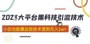 大平台黑科技引流技术，小白也能靠这些技术混到月入1w+(2022年的课程）-比钱轻创