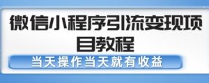 微信小程序引流变现项目教程,当天操作当天就有收益,变现不再是难事-比钱轻创