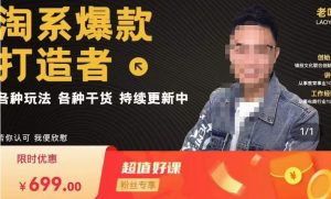 锋投老叶全店动销,淘系干货汇总,各种玩法,淘系爆款打造者-比钱轻创