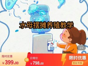 水母摆摊教学，包括摆摊技术、养殖技术、拿货渠道、抖音运营等-比钱轻创