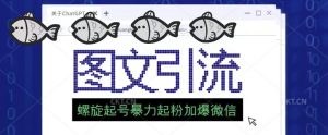 2023年价值1980的图文引流创业粉螺旋起好技术暴力起粉加爆微信-比钱轻创
