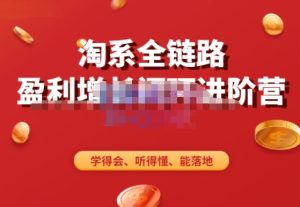 淘系全链路盈利增长闭环进阶营,融合全店动销,学得会、听得懂、能落地!-比钱轻创