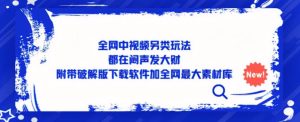 全网中视频另类玩法,都在闷声发大财,附带破解版下载软件加全网最大素材库-比钱轻创
