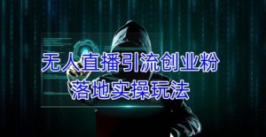 外面收费3980的无人直播引流创业粉落地实操玩法,单日引100+精准创业粉-比钱轻创