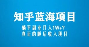 知乎蓝海玩法,躺平副业月入1W+,真正的睡后收入项目(6节视频课)-比钱轻创
