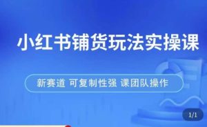 小红书铺货玩法实操课，流量大，竞争小，非常好做，新赛道，可复制性强，可团队操作-比钱轻创