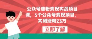 公众号涨粉变现实战项目课，5个公众号变现项目，实测涨粉23万-比钱轻创