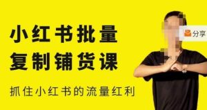 张宾·小红书批量复制铺货课,小红书0-1快速起号变现玩法,抓住小红书的流量红利(更新2023年3月)-比钱轻创