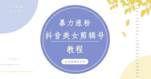 抖音快手暴力涨粉美女混剪视频教程,百分百过原创图片教程!附带违规申诉方法-比钱轻创