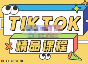 电商孵化中心·TikTok精品课程，教你玩转海外抖音，低成本创业，带您从0开始玩转TikTok-比钱轻创