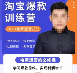 爱上黄昏·淘宝爆款训练营，2023最新运营打法，学习爆款思维，实现利润增长-比钱轻创