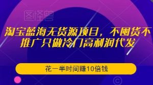 淘宝蓝海无货源项目,不囤货不推广只做冷门高利润代发,花一半时间赚10倍钱-比钱轻创