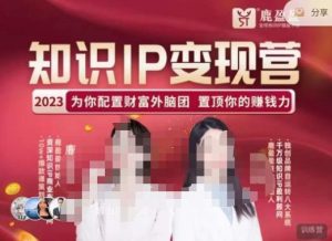 鹿盈盈-知识IP变现实操营,普通人可复制的知识产品落地实操课,带你打通知识IP变现底层逻辑-比钱轻创