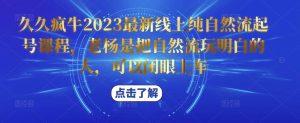 久久疯牛2023最新线上纯自然流起号课程，老杨是把自然流玩明白的人，可以闭眼上车-比钱轻创