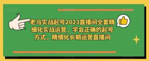 老马实战起号2023直播间全套精细化实战运营,学会正确的起号方式,精细化长期运营直播间-比钱轻创