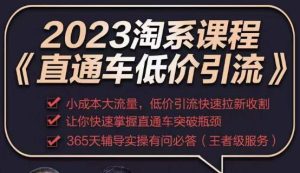 2023直通车低价引流玩法课程，小成本大流量，低价引流快速拉新收割，让你快速掌握直通车突破瓶颈-比钱轻创