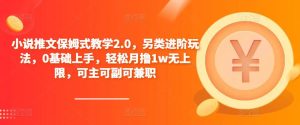 小说推文保姆式教学2.0，另类进阶玩法，0基础上手，轻松月撸1w无上限，可主可副可兼职-比钱轻创
