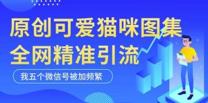黑科技纯原创可爱猫咪图片，全网精准引流，实操5个VX号被加频繁-比钱轻创