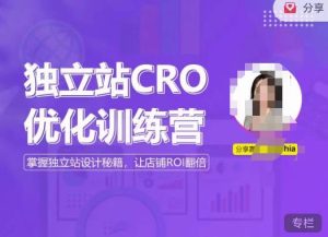 独立站CRO优化训练营，掌握独立站设计秘籍，打造高转化的独立站，让店铺ROI翻倍-比钱轻创