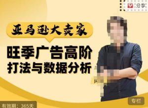 阿甘·亚马逊大卖家广告高阶打法与数据分析,走出传统广告误区;揭秘大卖惯用打法;数据驱动广告决策-比钱轻创
