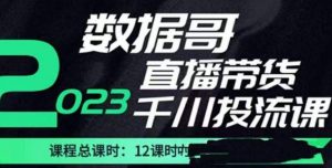 数据哥2023直播电商巨量千川付费投流实操课，快速掌握直播带货运营投放策略-比钱轻创