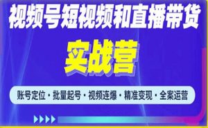 2023最新微信视频号引流和变现全套运营实战课程，小白也能玩转视频号短视频和直播运营-比钱轻创