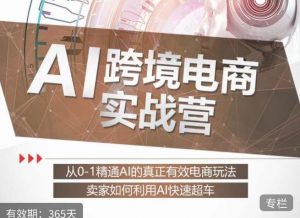 白龙老师·AI跨境电商实战营:从0-1精通Al的真正有效电商玩法,卖家如何利用Al快速超车-比钱轻创