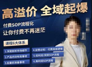 逸风-拼多多高溢价全域起爆，6大课程体系，付费玩法全套实操-比钱轻创