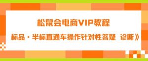松鼠会电商VIP教程：松鼠《付费推广标品·半标直通车操作针对性答疑&诊断》-比钱轻创