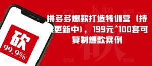 拼多多爆款打造特训营（持续更新中)，199元*100套可复制爆款案例-比钱轻创